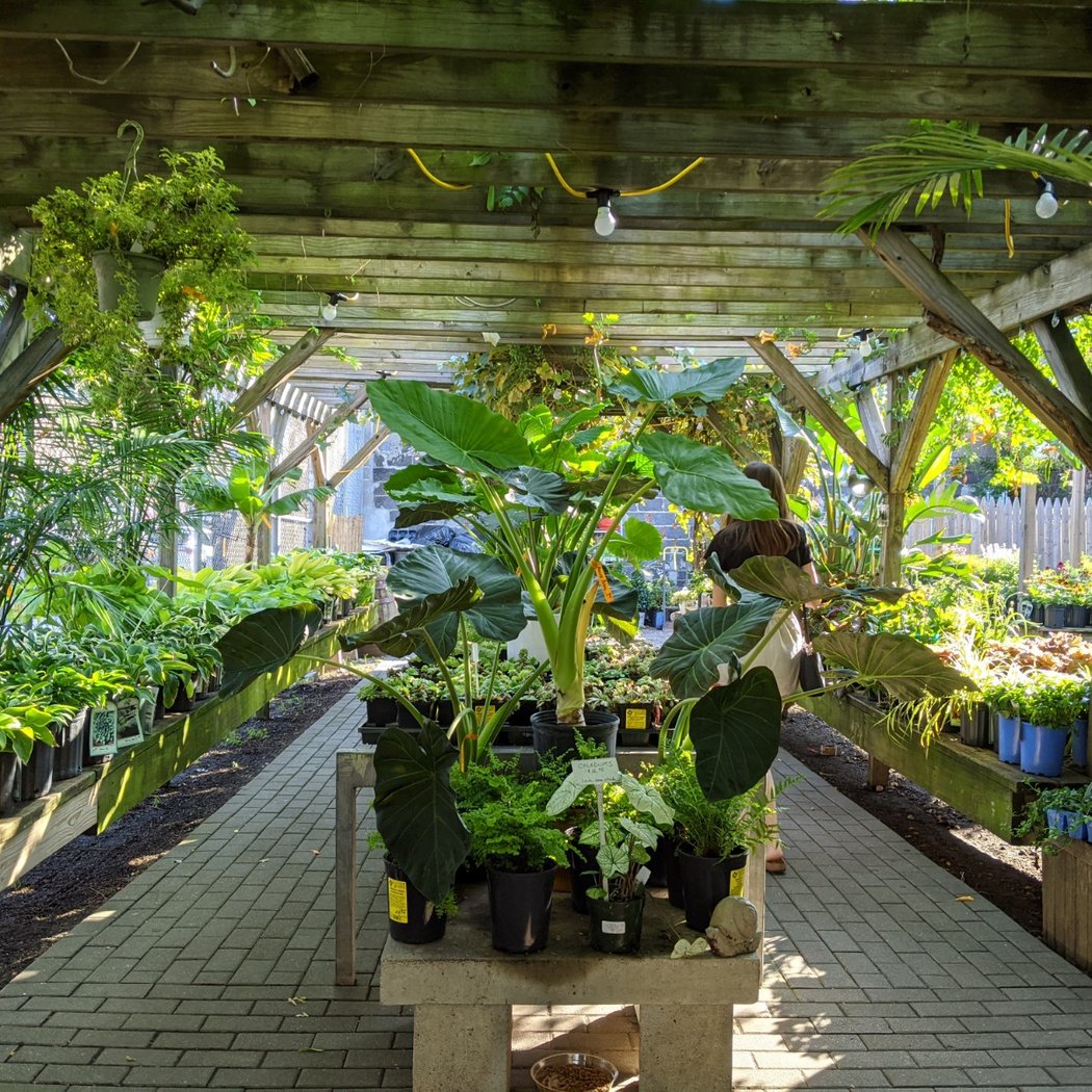 Chelsea Garden Center 1