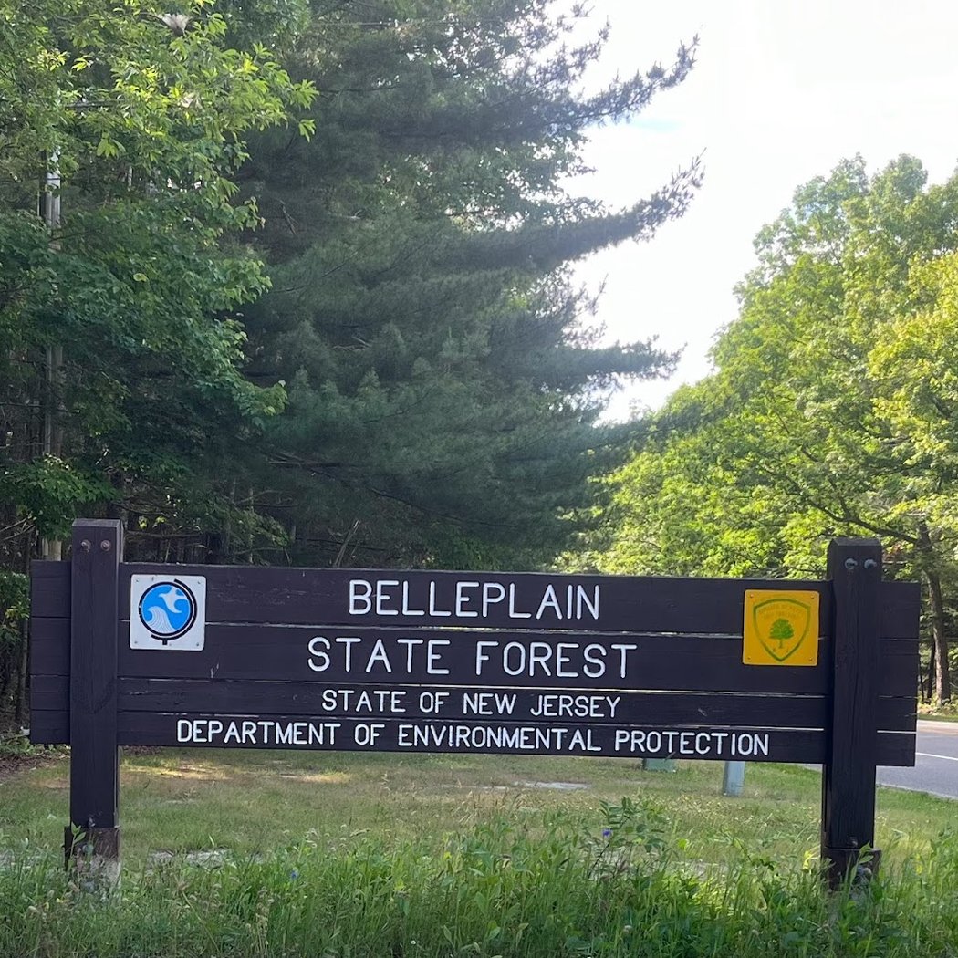 Belleplain State Forest 2