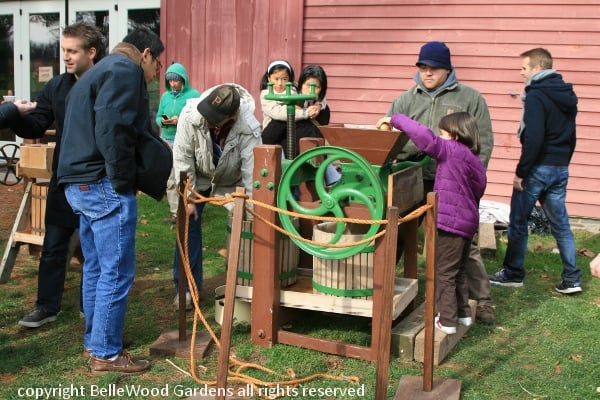 Fall Cider Making 2