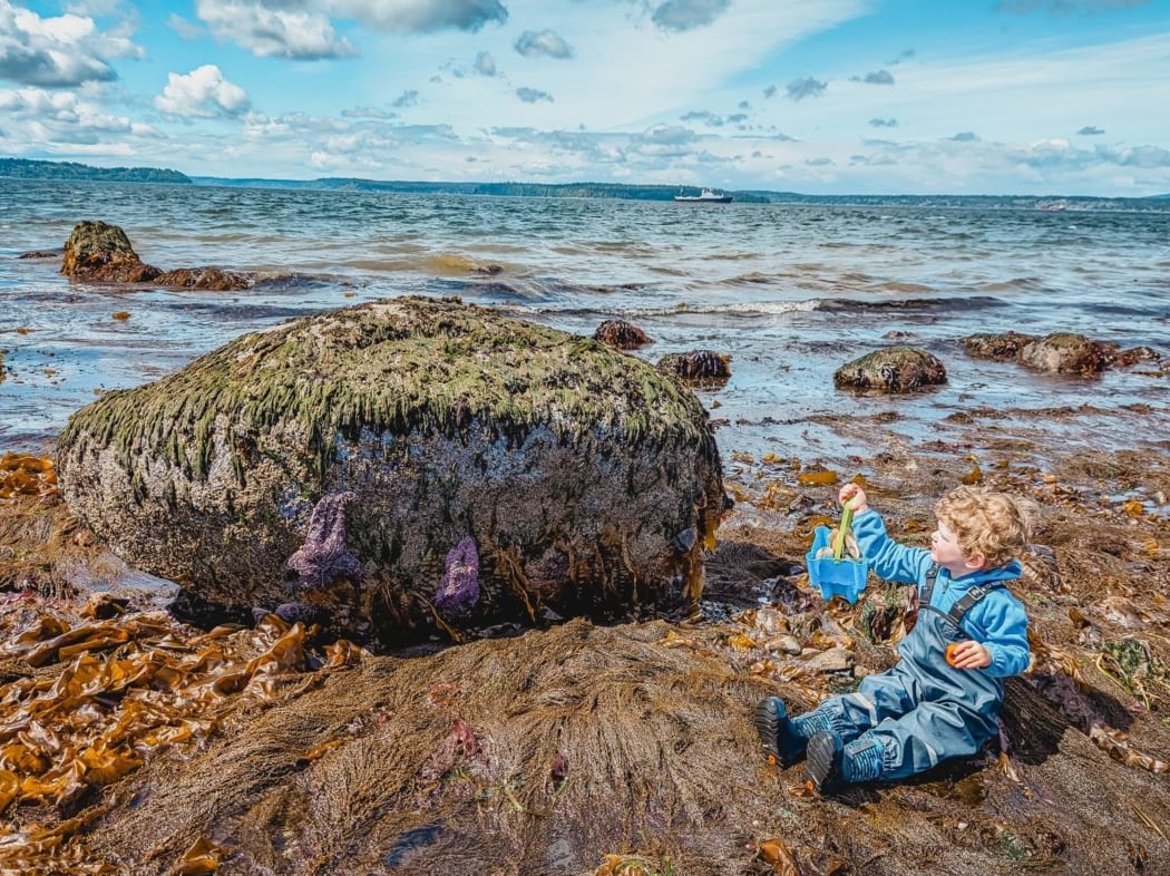 Tide Pools for Tots 3