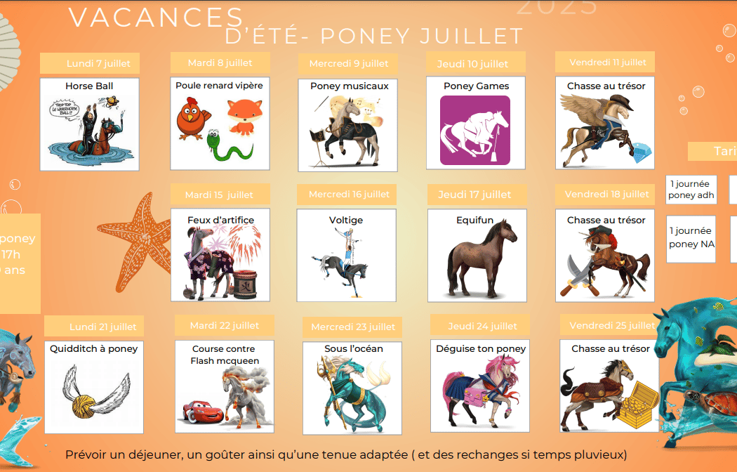 Stages d'été au Club des Îles 1