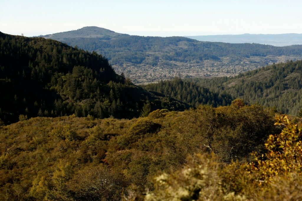 Sonoma Mountain 1