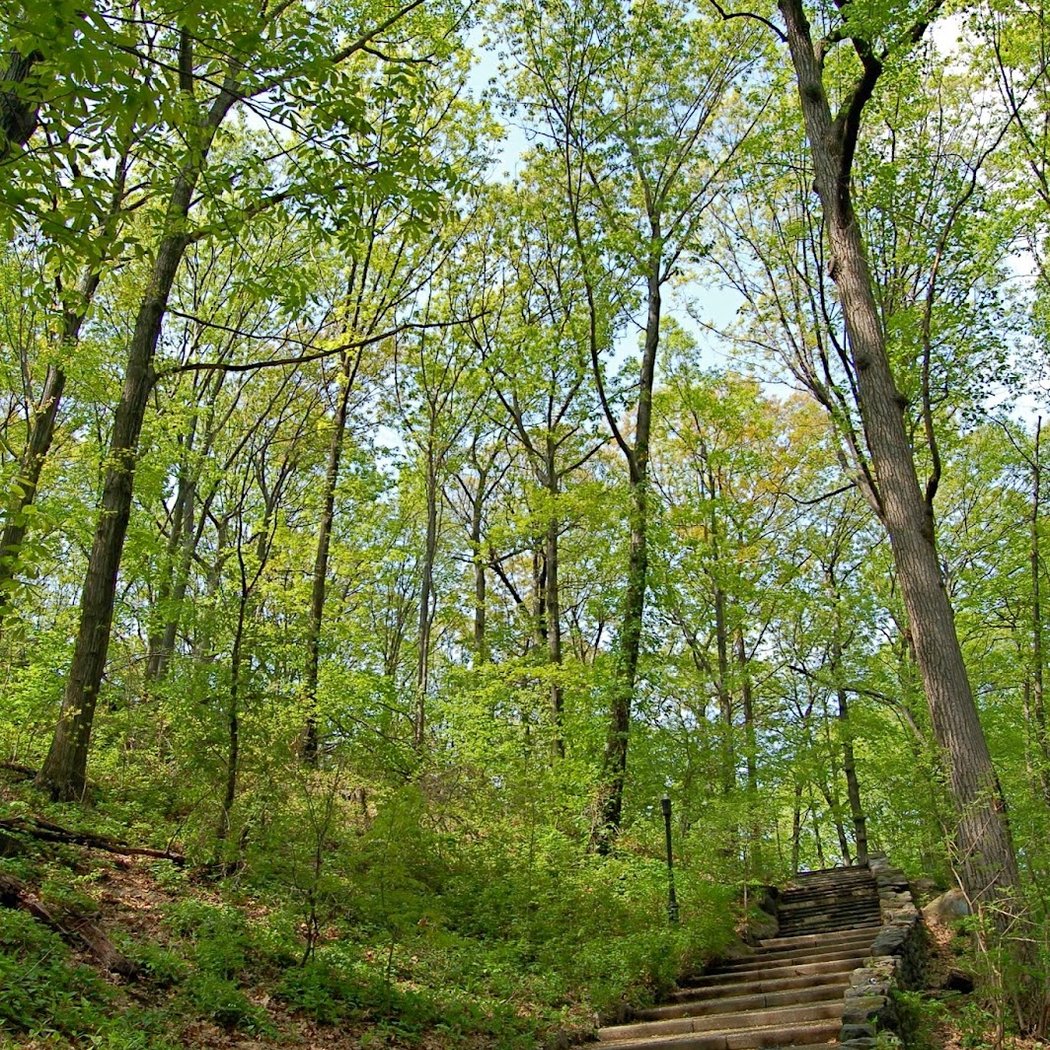 Shorakkopoch Rock 1