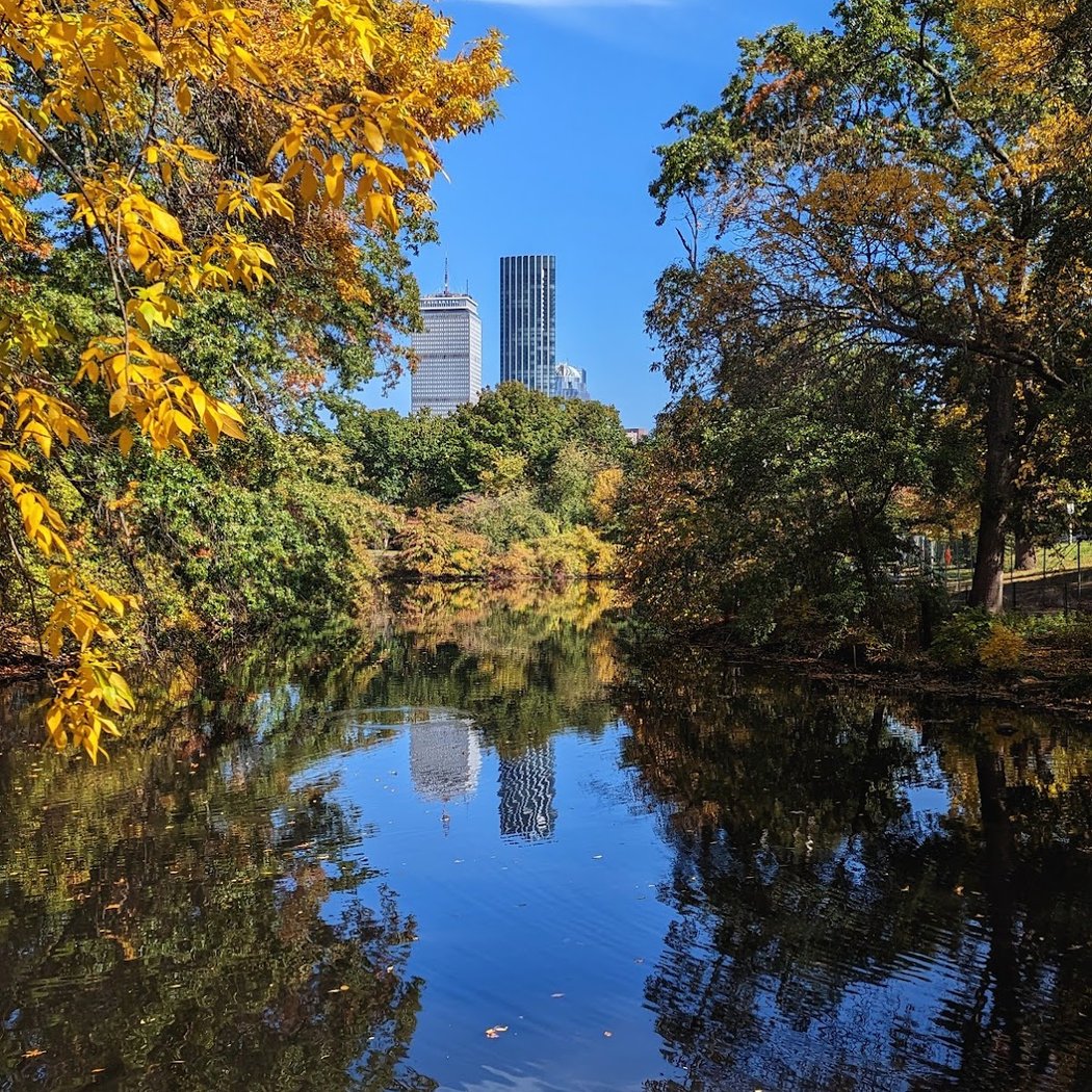 Back Bay Fens Volunteer Stewardship 1