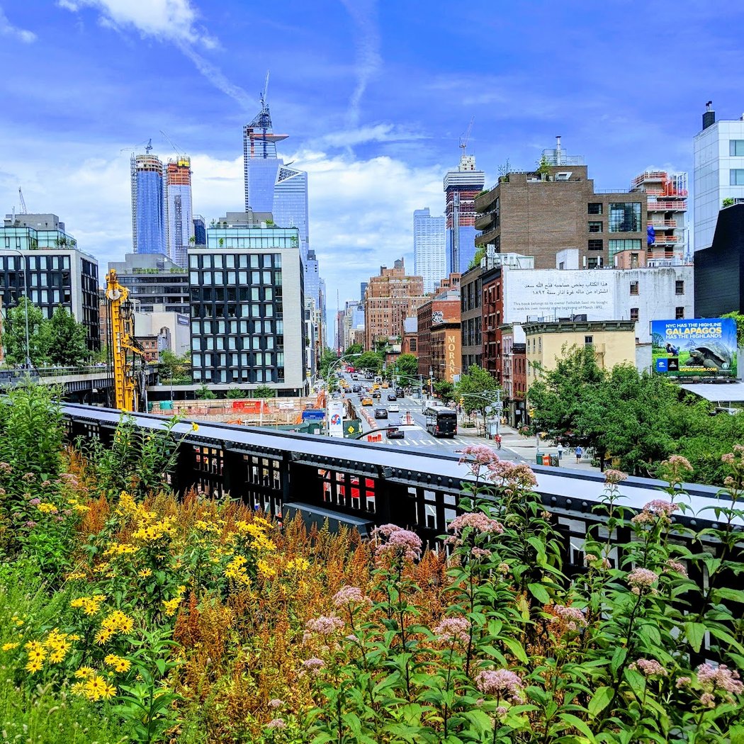 High Line Tour: From Freight to Flowers 1