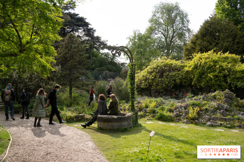 Jardin alpin 2