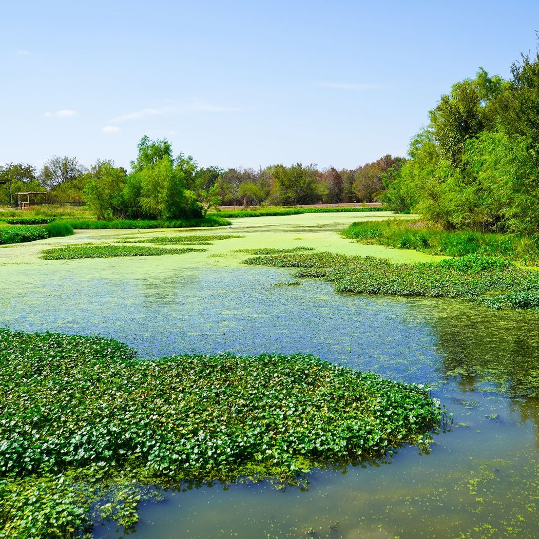 Monthly Nature Walk 2