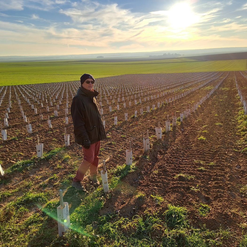 Le Vignoble de Montépilloy 1