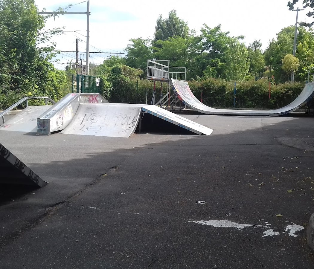 Skate Park Public 2