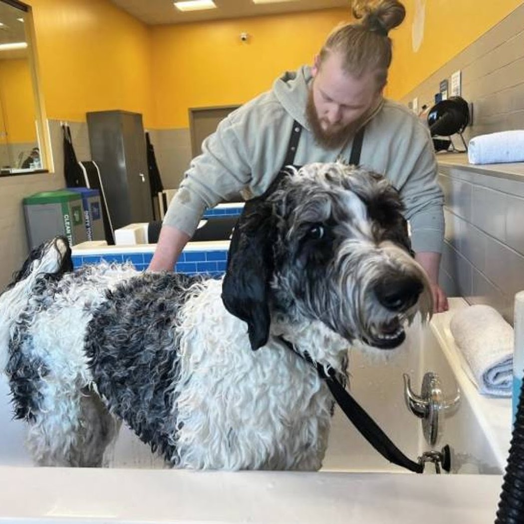 Pet Evolution Open House – June 13 2