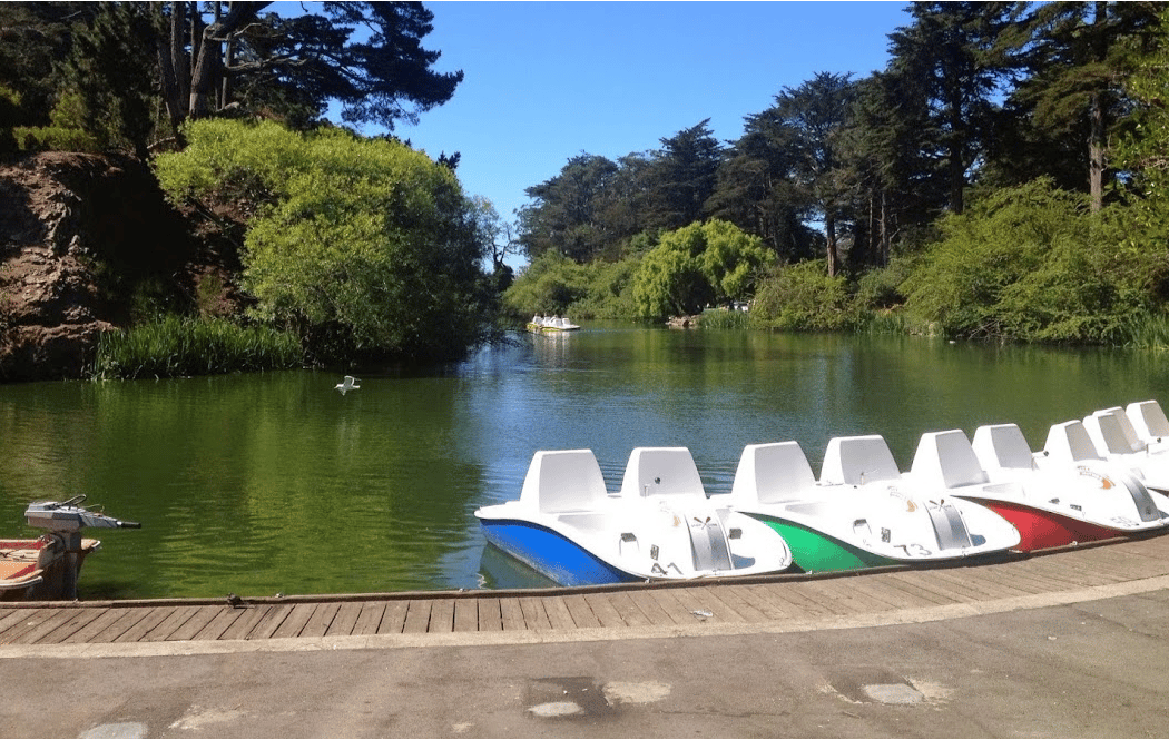 Stow Lake Pedal Boats at Blue Heron Boathouse 1