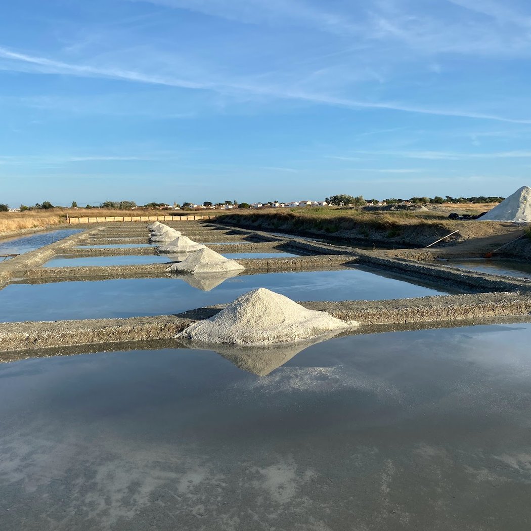 Les Cholleaux Par Laurence - Marais Salants 1