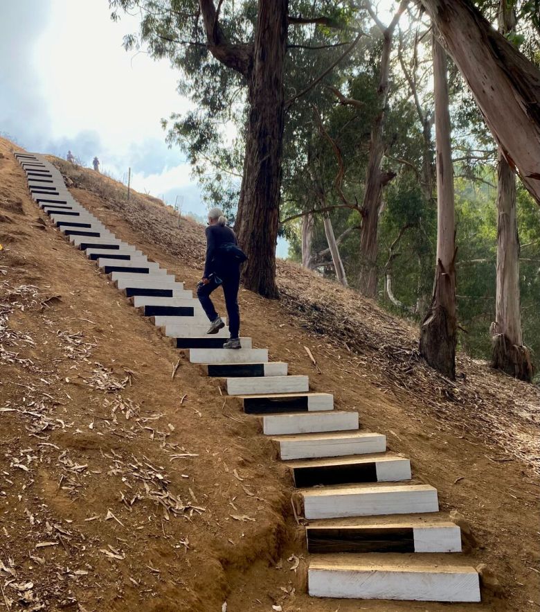 Clark Kerr Fire Trail 2