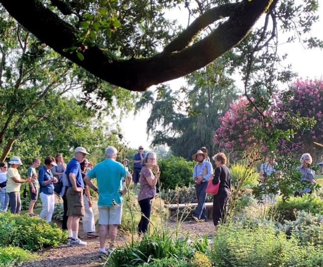 Garden Drop-in 3