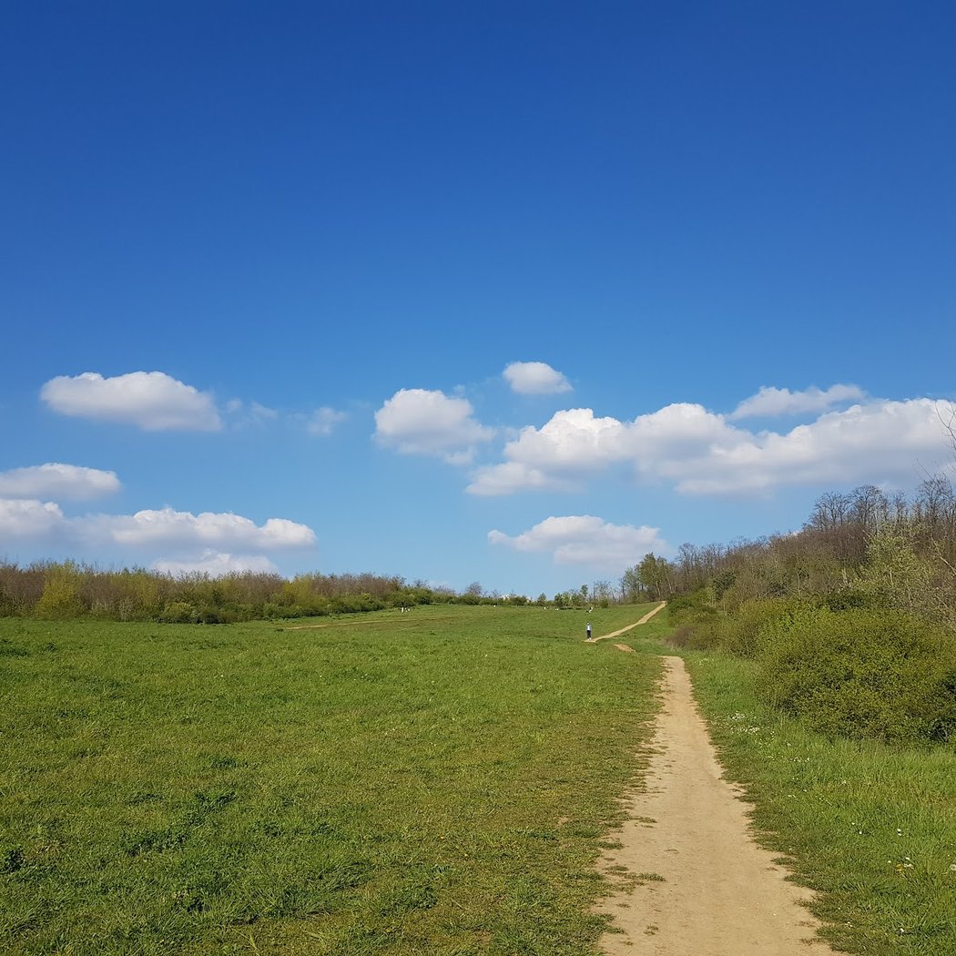 Forêt Régionale des Buttes du Parisis 1