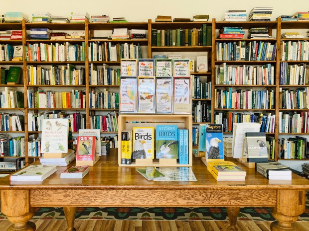 Buteo Books 1