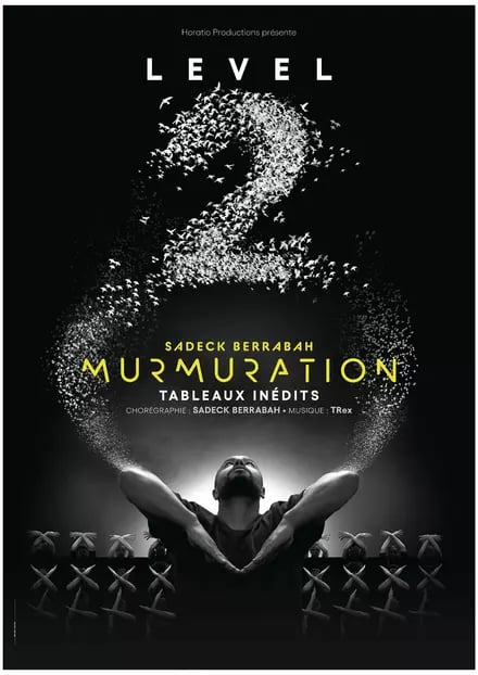 Murmuration - Level 2