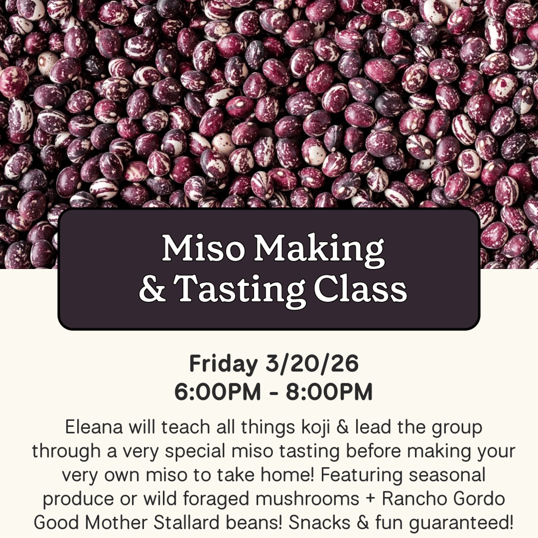 Miso Making & Tasting Class 1
