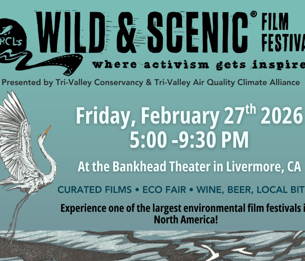 The Wild & Scenic Film Festival 1