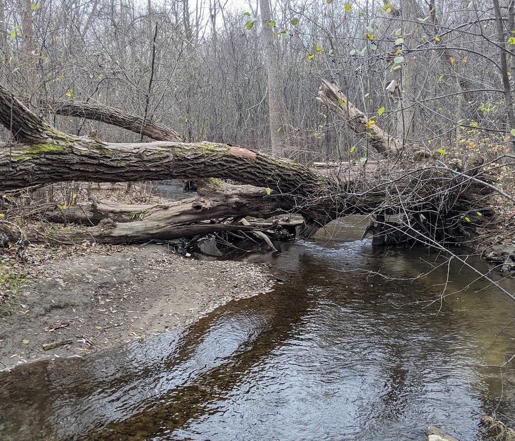 Paint Creek Trail 2