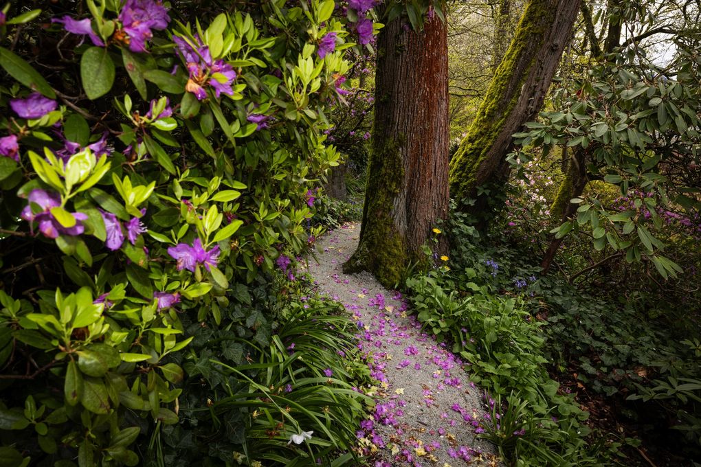 Streissguth Gardens