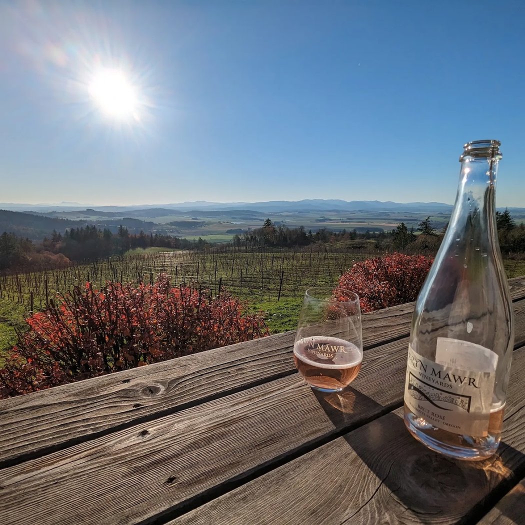 Yoga + Wine at Bryn Mawr Vineyards 1