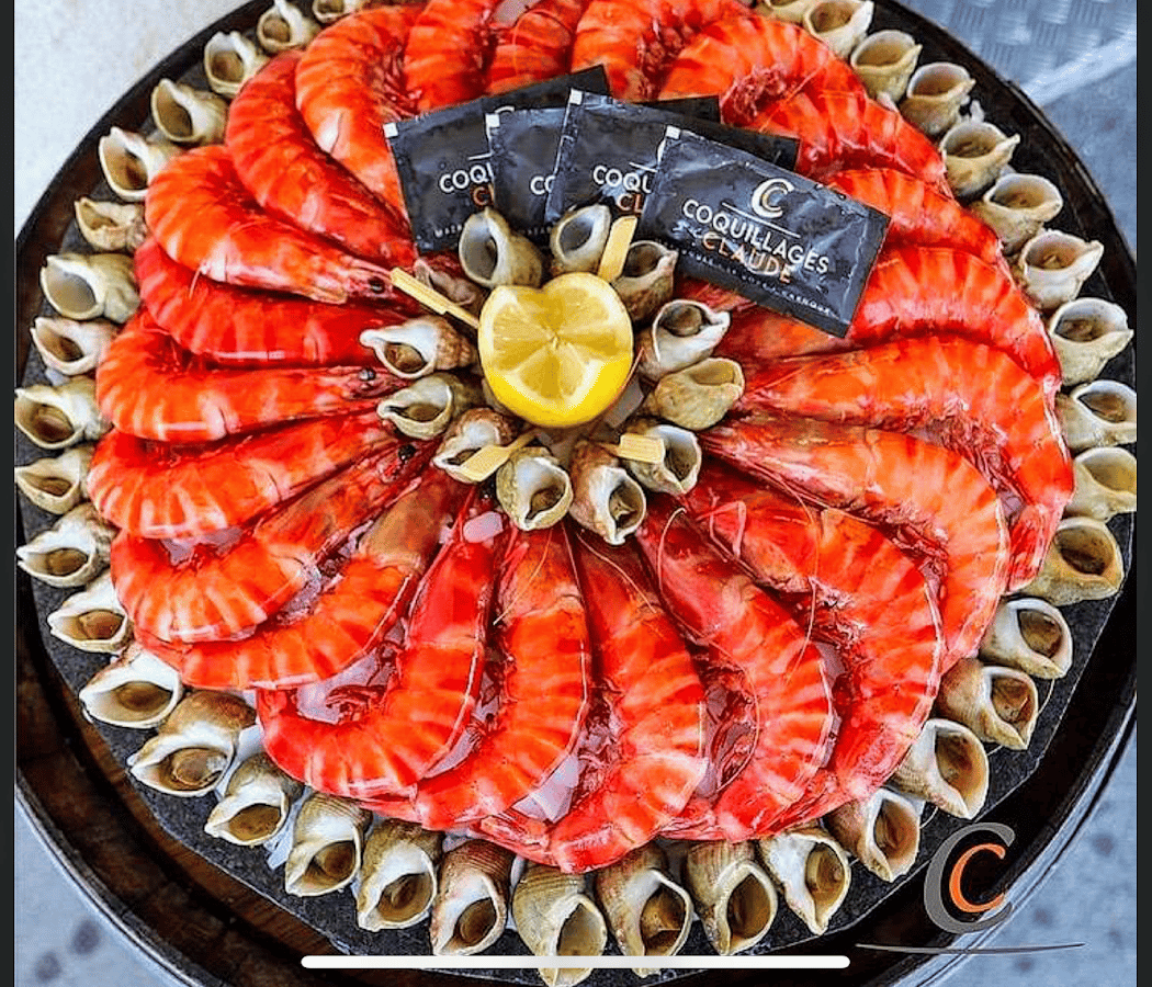 Coquillages Claude 3
