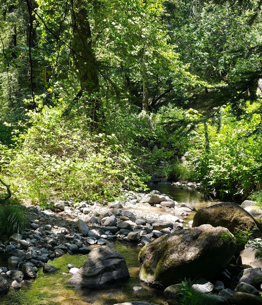Ritchey Creek Campground 1