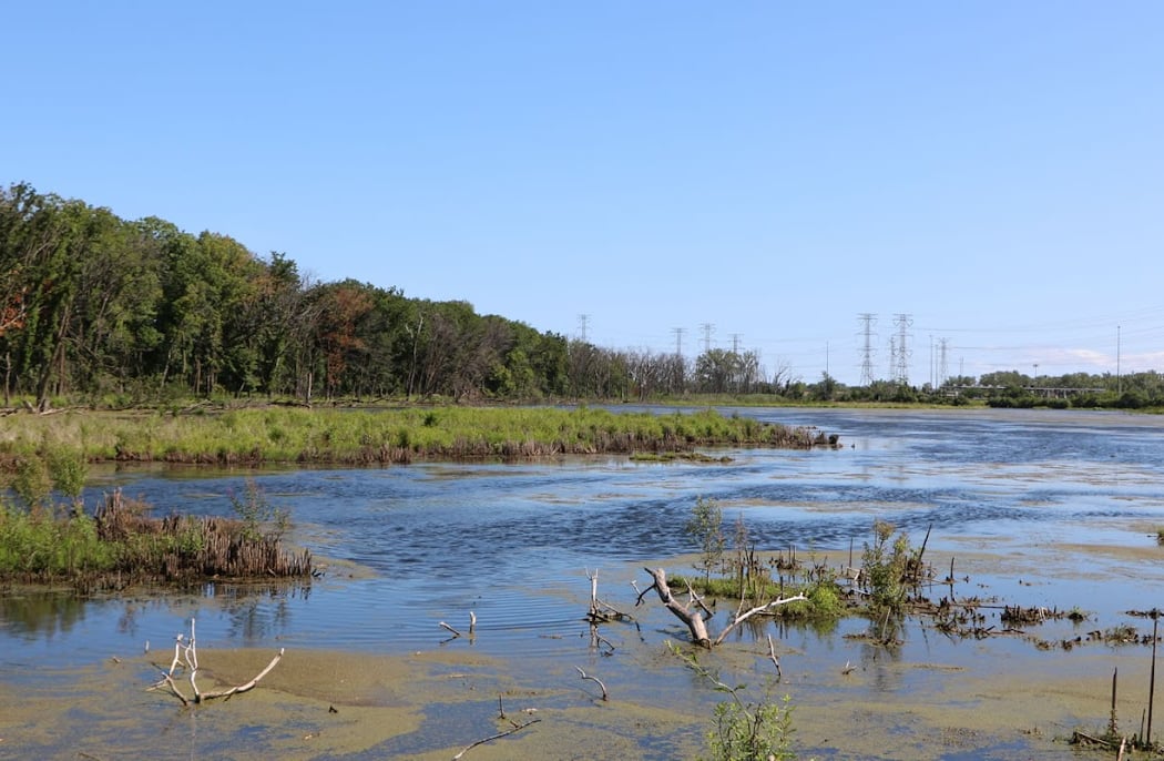 Eggers Grove Bird Walk 1