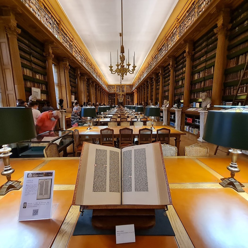 Piranèse et son empreinte : un rêve de pierre et d'encre 3