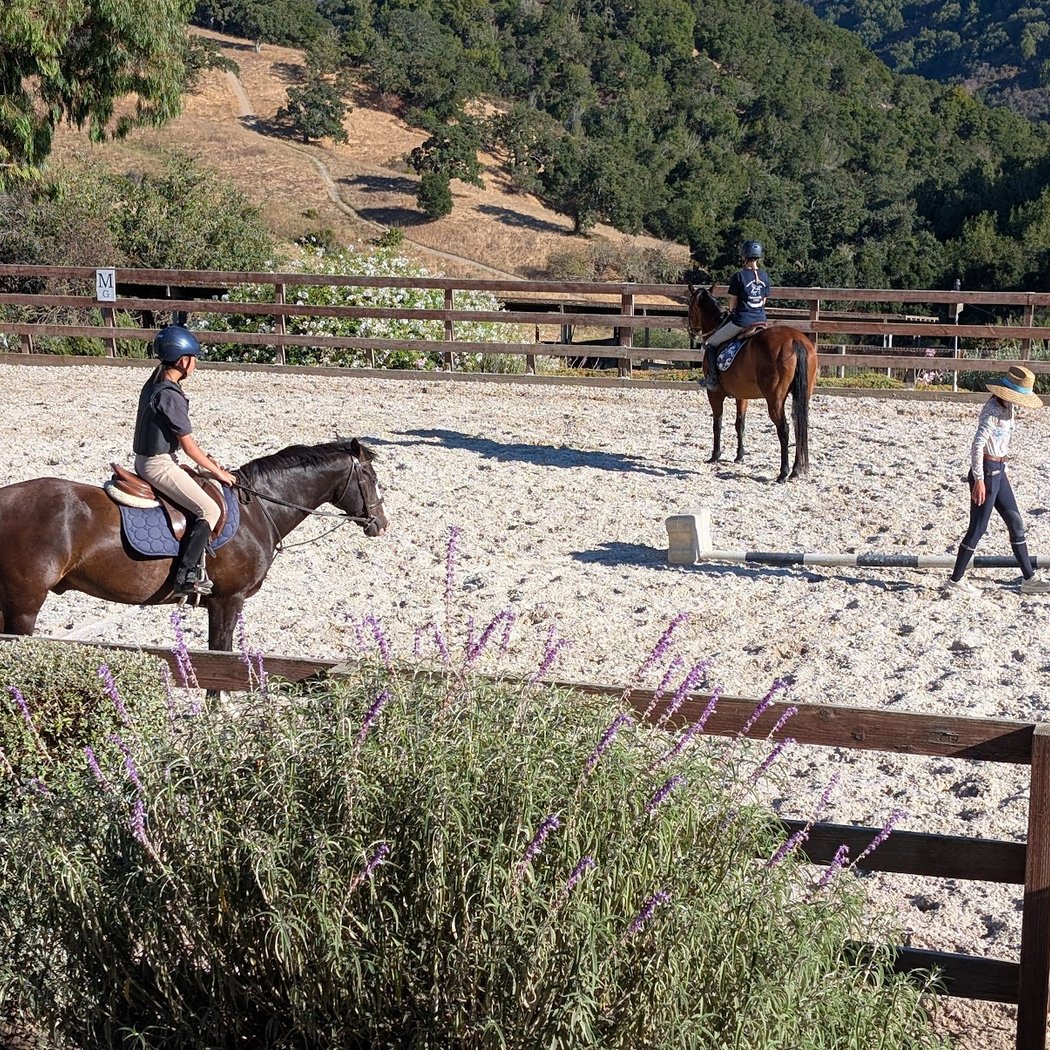 Regenerative Leadership: Taming Your Inner Critic with Horses 1