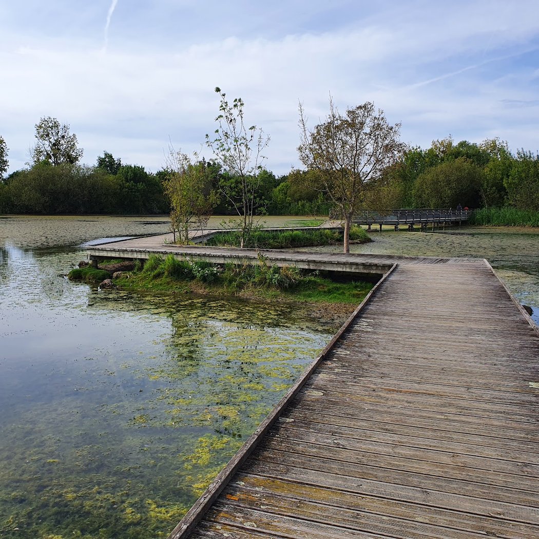 Plan d'eau de la Côte 2