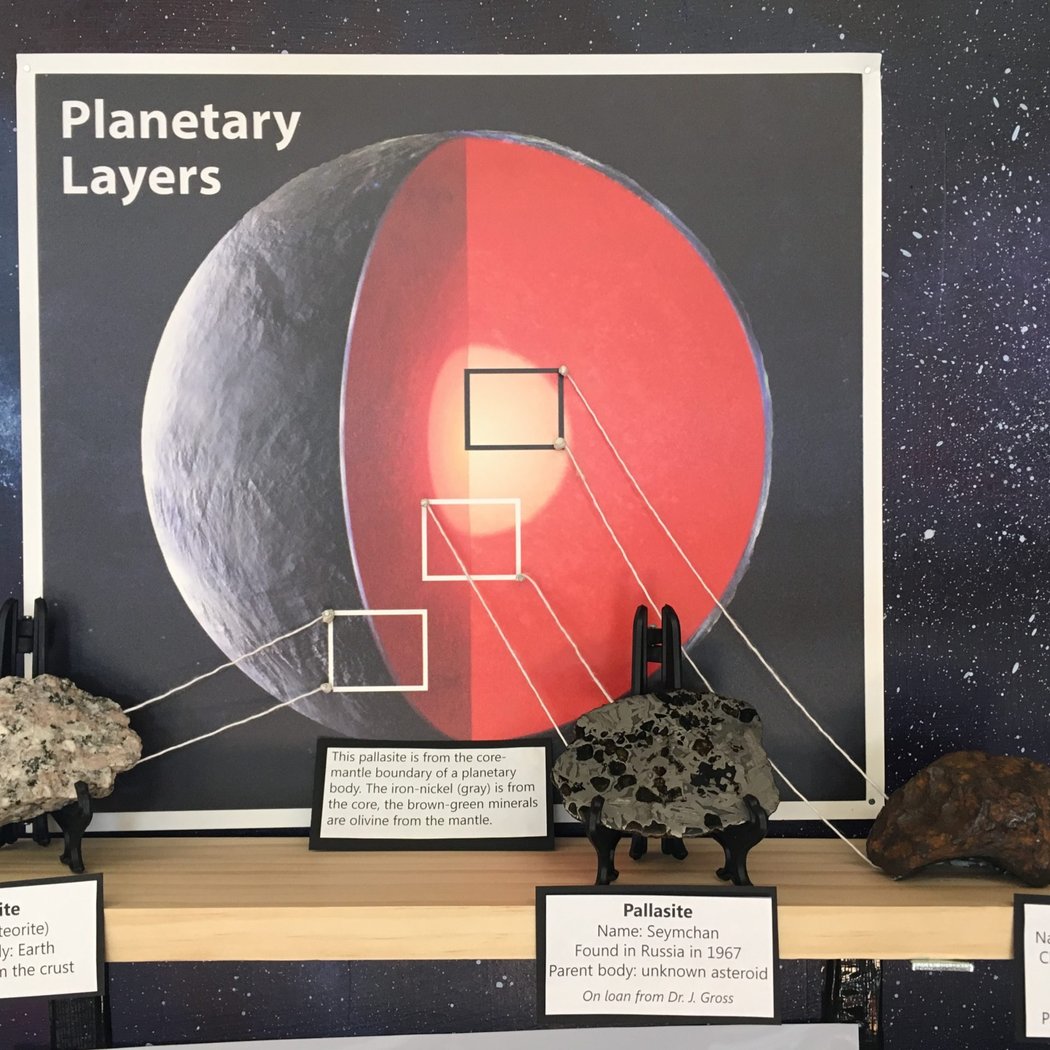 Rutgers Geology Museum 2