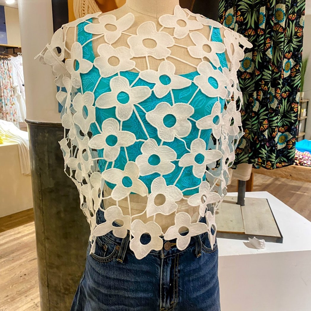 Anthropologie 1