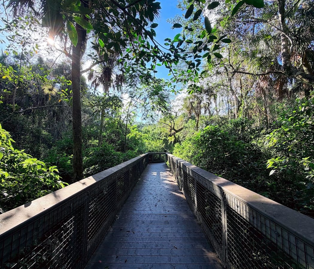 Tall Cypress Natural Area 1