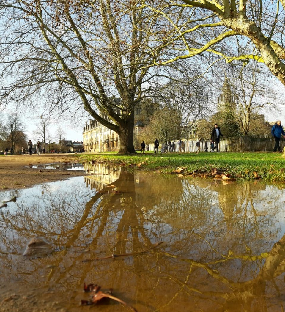 Christ Church Meadow Walk 3