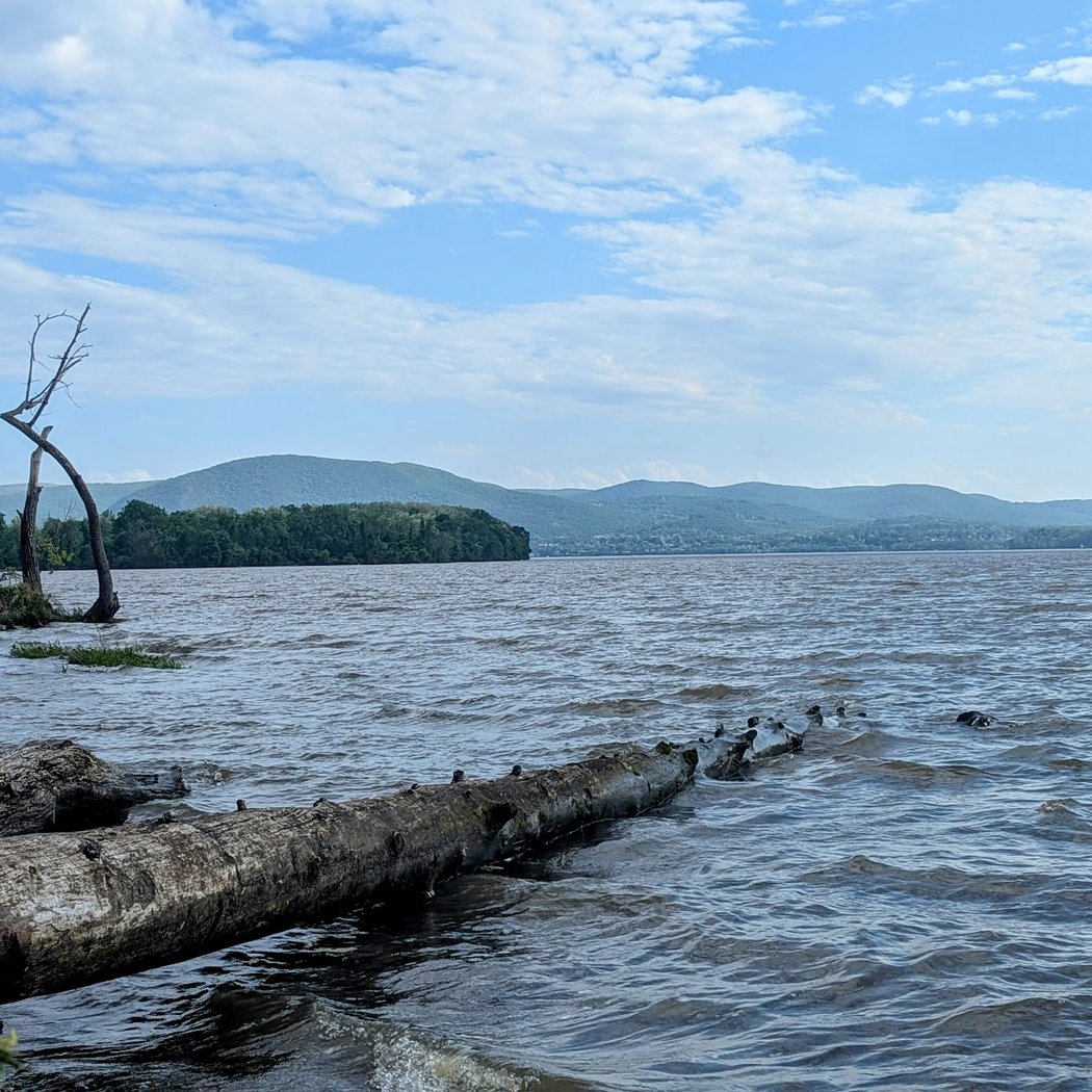 Scenic Hudson's River Center 1