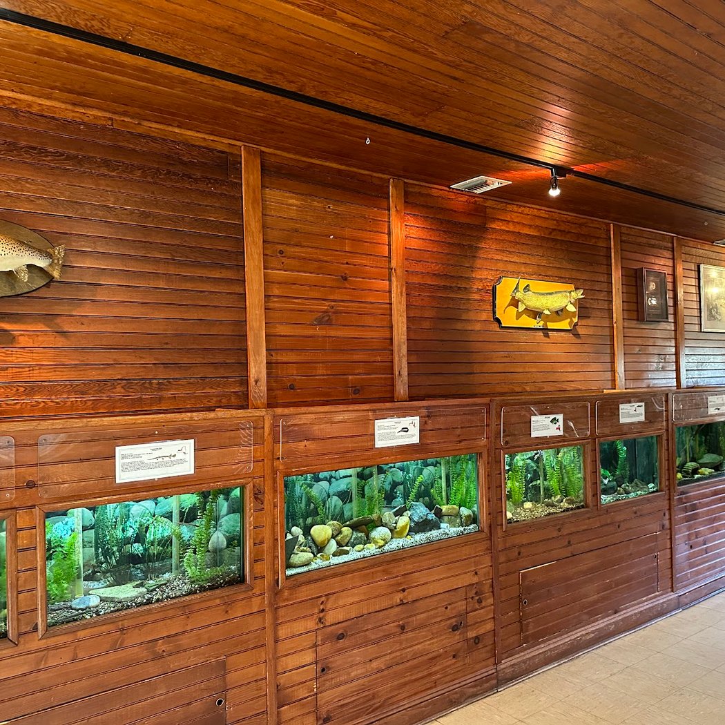 Cold Spring Harbor Fish Hatchery & Aquarium 2