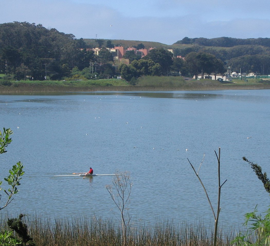 Yale Day of Service Project: Lake Merced Restoration 3