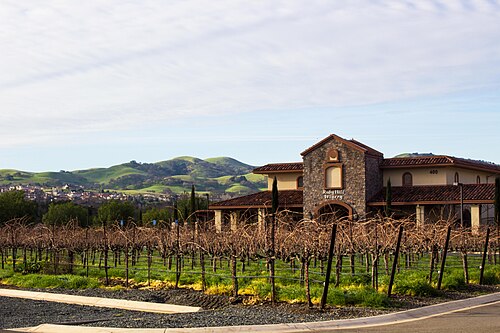Ruby Hill Winery 2