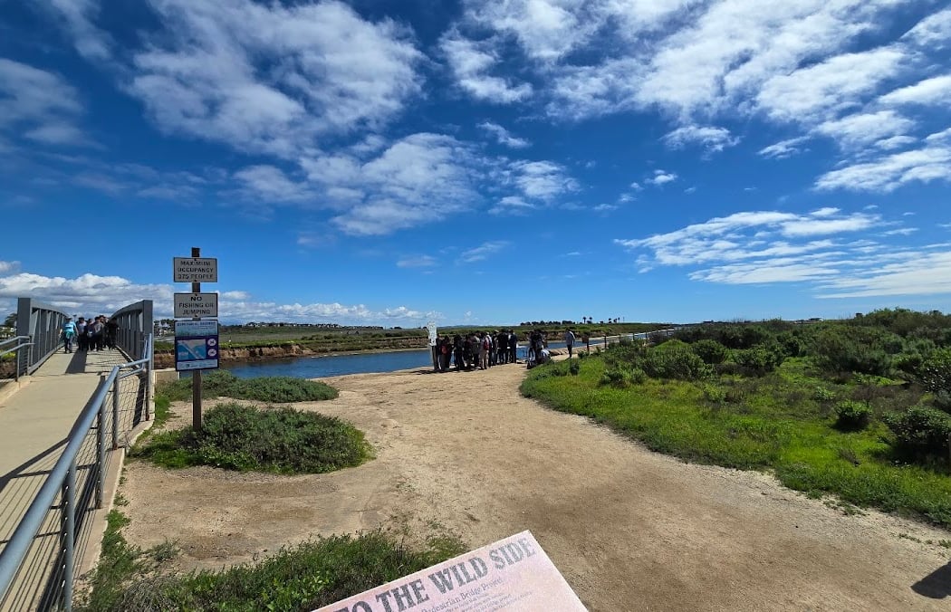 Beginner Birder Workshop 2