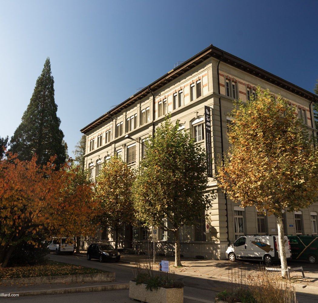 Musée d'histoire naturelle 2