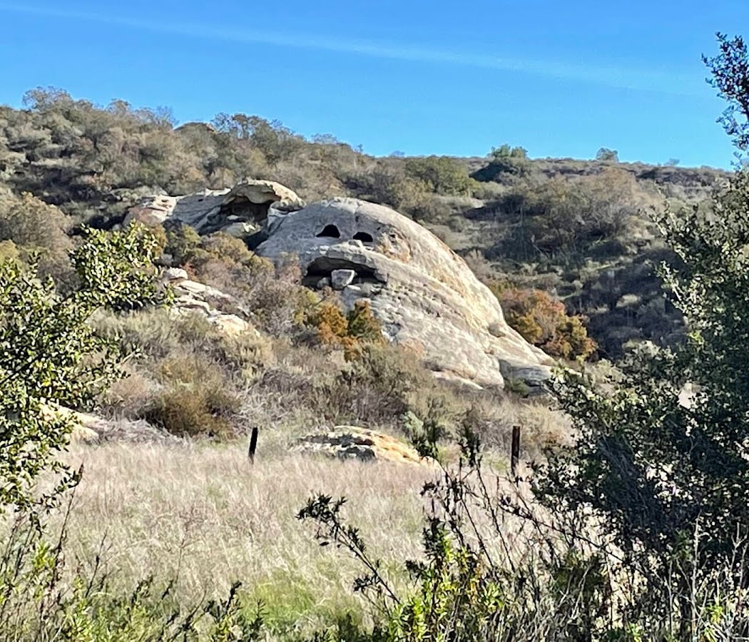 Explorers Hike: Laurel Canyon Loop 2