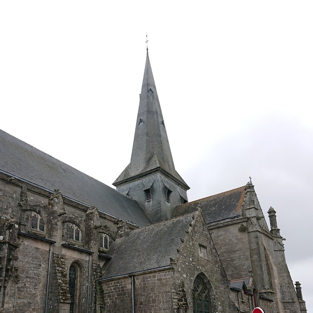Collégiale Saint-Aubin 2