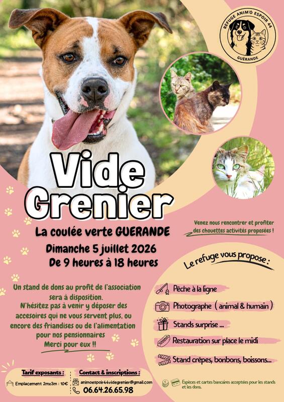 Vide grenier par l'association anim'ô espoir44 1