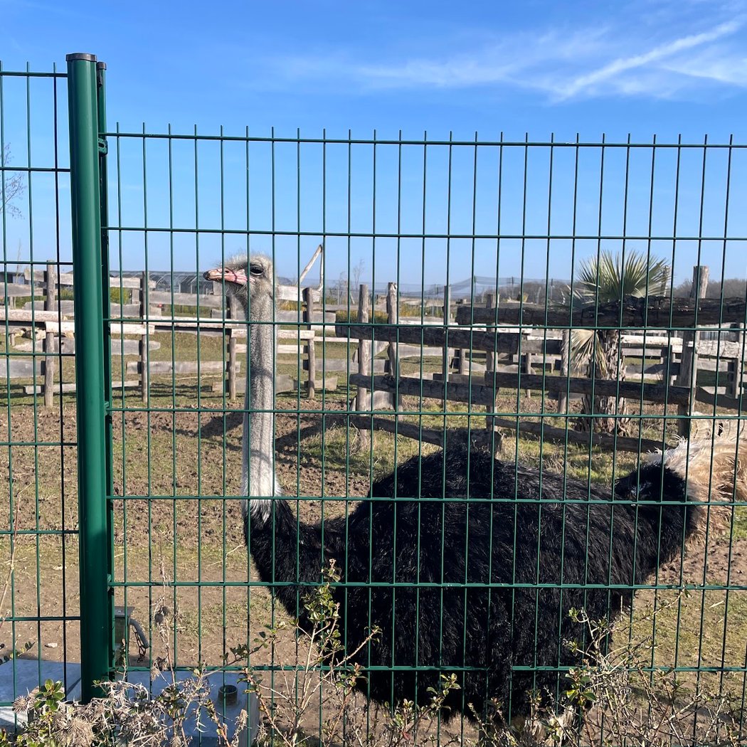 La Tanière - Zoo refuge 2