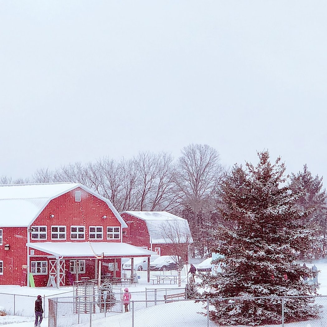 Bowers School Farm 3