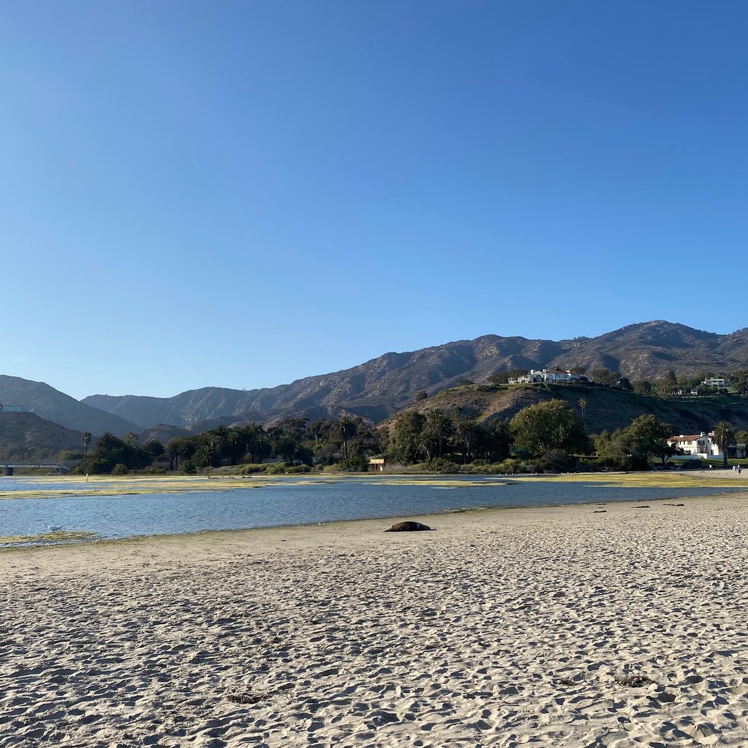 Outerknown x Surfrider LA Beach Cleanup 3