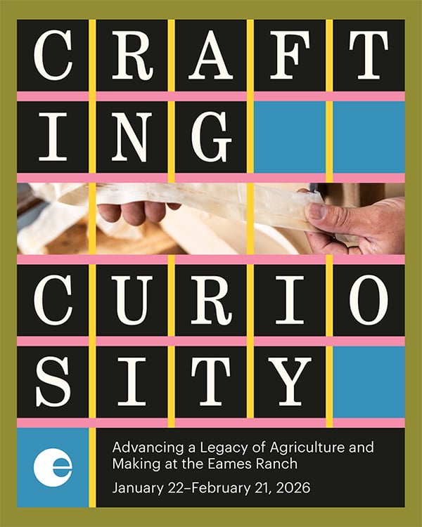 Crafting Curiosity 1