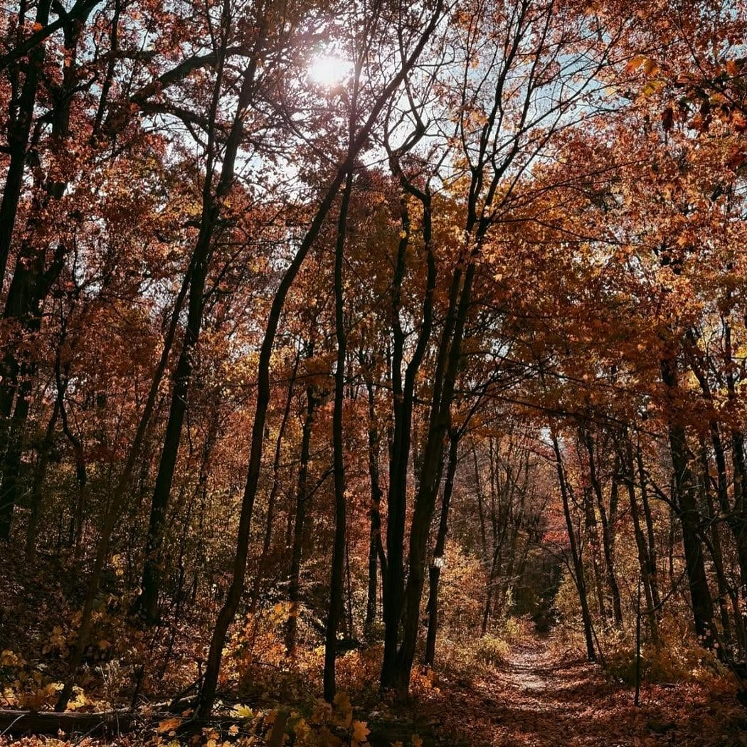 Van Cortlandt Park 1